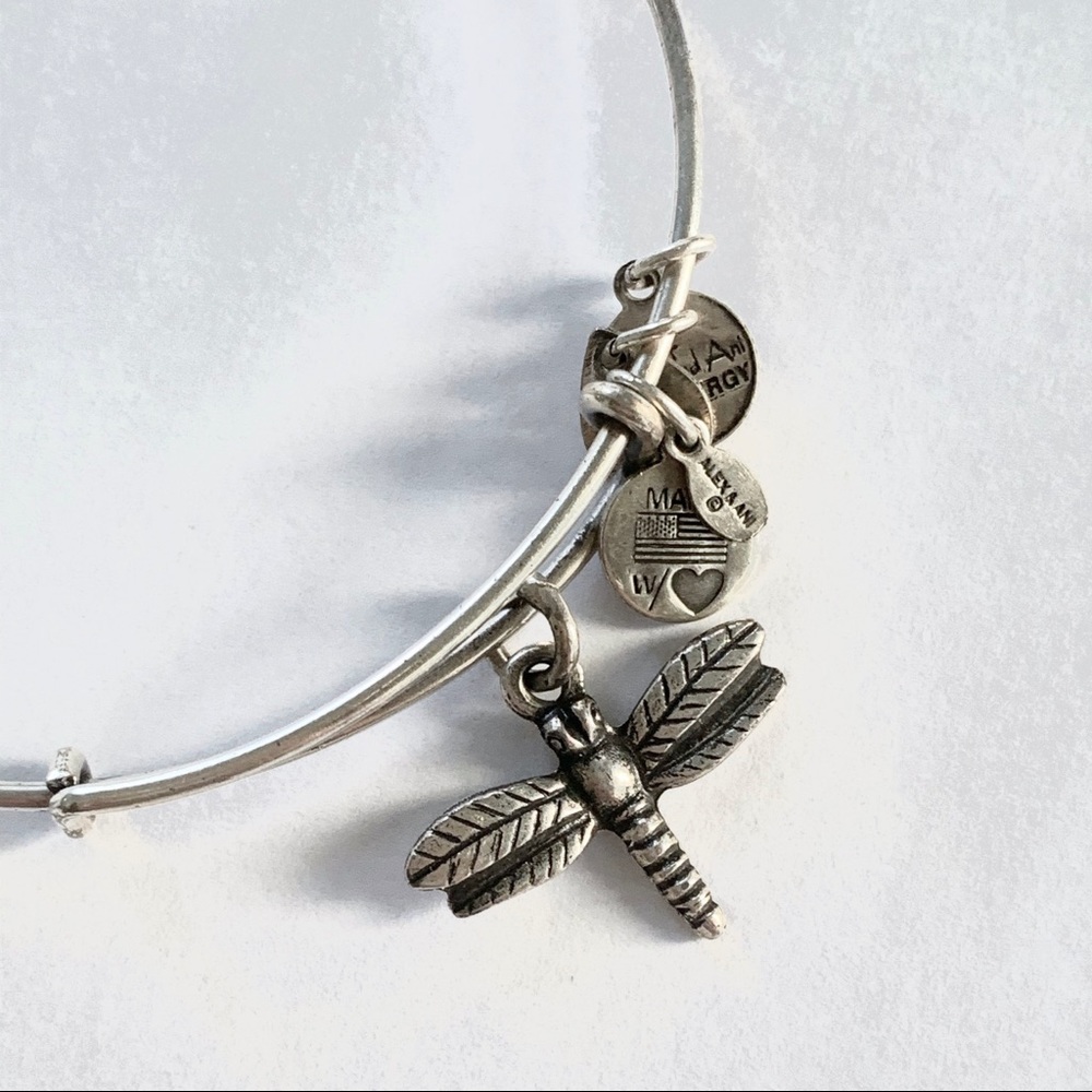 Alex and Ani Rafaelian silver Energy dragonfly charm bangle bracelet Y2K vintage
